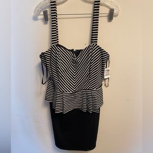 Charlotte Russe preplume dress